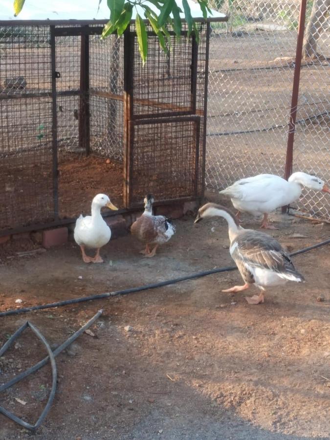 Villa Bimalfarm At Koroli Hills Igatpuri Esterno foto